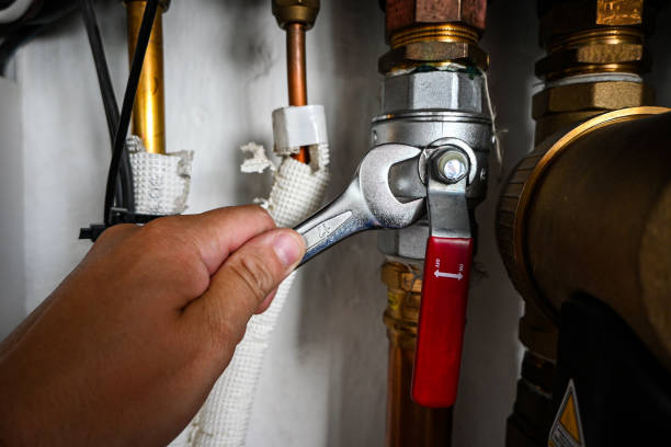 Best Toilet Repair Services  in Pioneer, CA